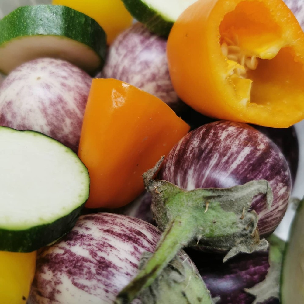 Aubergines fraîches